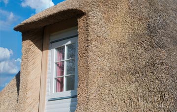 Crepkill thatch roof disadvantages
